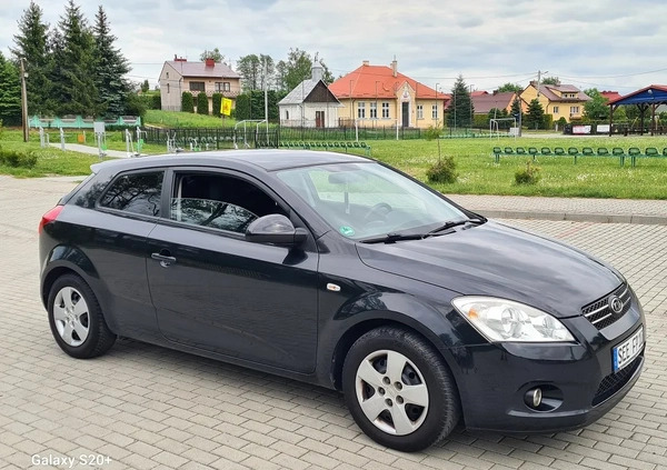 Kia Pro_cee'd cena 17900 przebieg: 170000, rok produkcji 2008 z Biała Podlaska małe 137